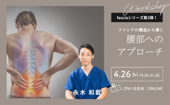 4/26ファシア（fascia）の構造から導く腰部へのアプローチ ～ファシアシリーズ第3弾！全6回～